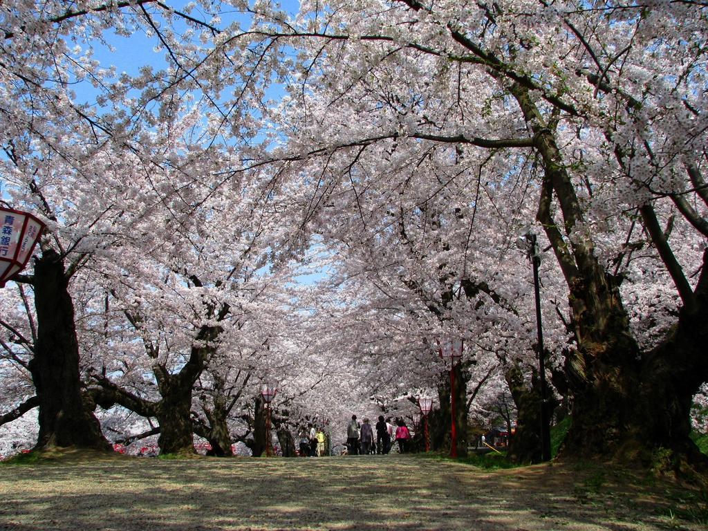 Agri In Holiday Hirosaki Zewnętrze zdjęcie
